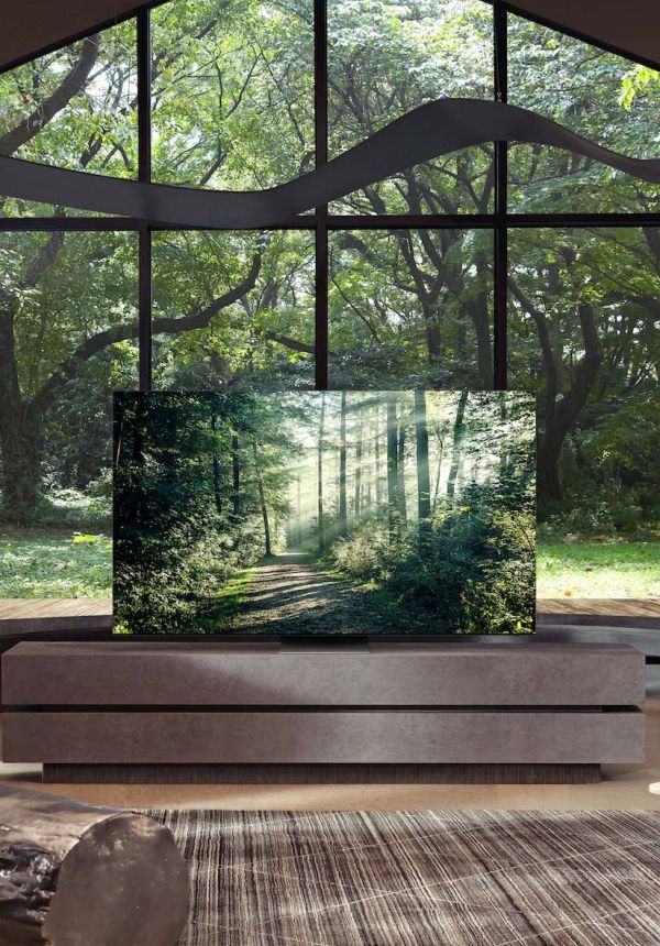Big screen TV in front of big modern window